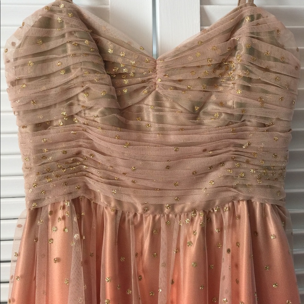 Ombré Dress / Evening Gown / Princess